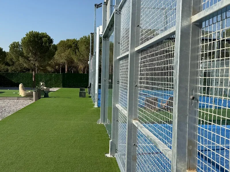 PINE PADEL CLUB padel kortu